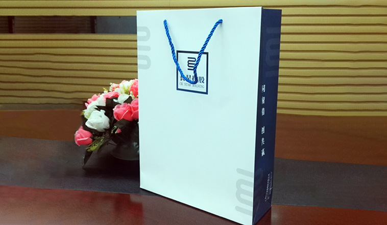 Meishi-Wholesale Custom High Auality Paper Shopping Paper Bag on Meishi-3